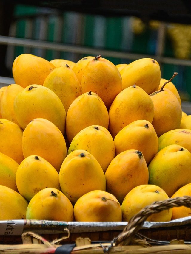 Top 10 mango producing countries in 2024