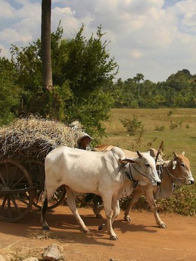 PM Kisan 18th installment: How to check if your name is on the list